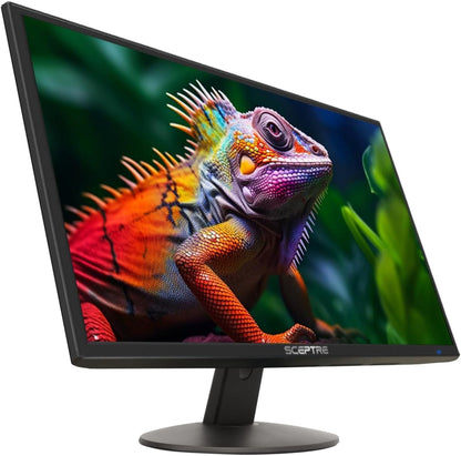 24-Inch Professional LED Monitor.